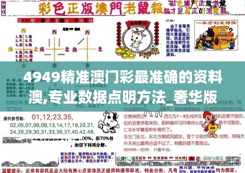 4949精准澳门彩最准确的资料澳,专业数据点明方法_奢华版OBU8.84
