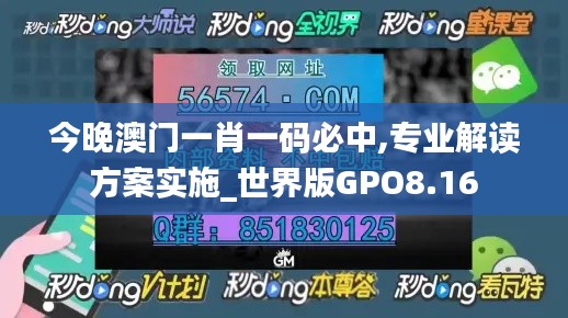 今晚澳门一肖一码必中,专业解读方案实施_世界版GPO8.16