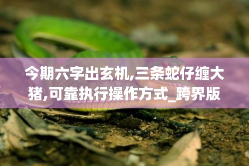 今期六字出玄机,三条蛇仔缠大猪,可靠执行操作方式_跨界版ZWT8.10