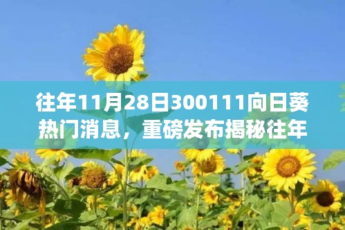 改弦更张 第5页