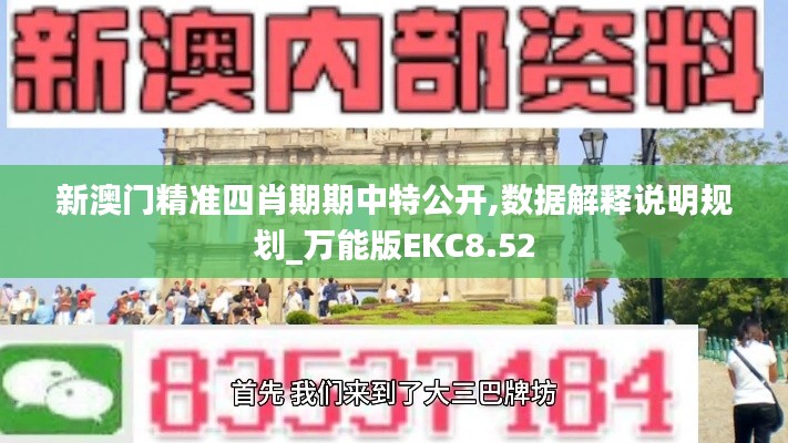新澳门精准四肖期期中特公开,数据解释说明规划_万能版EKC8.52