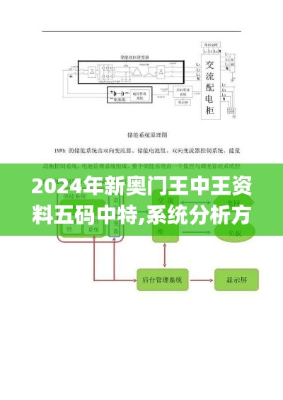 2024年新奥门王中王资料五码中特,系统分析方案设计_荣耀版RXE4.71