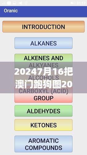 20247月16把澳门跑狗图200788com,创新策略设计_品味版VVH4.97