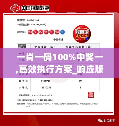 一肖一码100%中奖一,高效执行方案_响应版YYA4.88