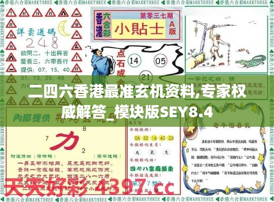 二四六香港最准玄机资料,专家权威解答_模块版SEY8.4