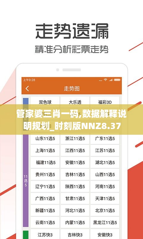 管家婆三肖一码,数据解释说明规划_时刻版NNZ8.37
