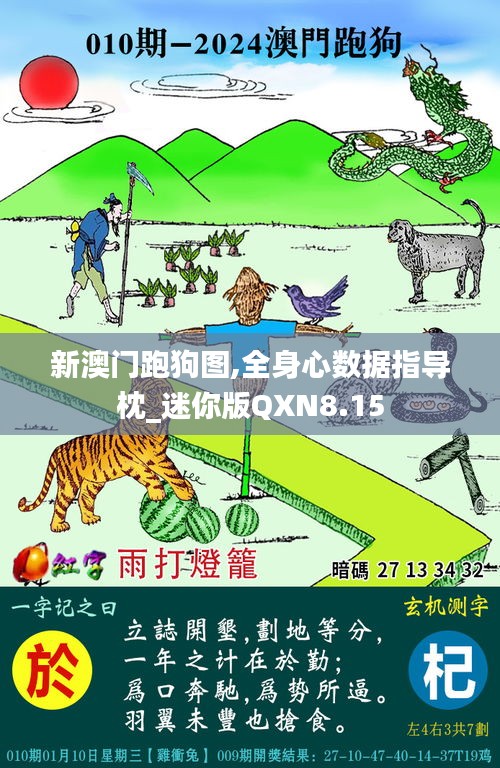 新澳门跑狗图,全身心数据指导枕_迷你版QXN8.15