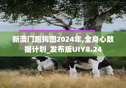 新澳门跑狗图2024年,全身心数据计划_发布版UIY8.24