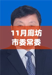廊坊市委常委最新名单解析，特性、体验、竞品对比及用户群体深度探讨
