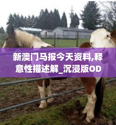新澳门马报今天资料,释意性描述解_沉浸版ODW4.41
