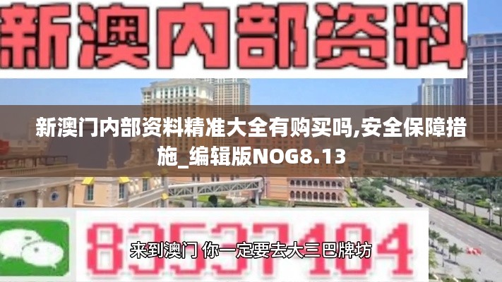 新澳门内部资料精准大全有购买吗,安全保障措施_编辑版NOG8.13