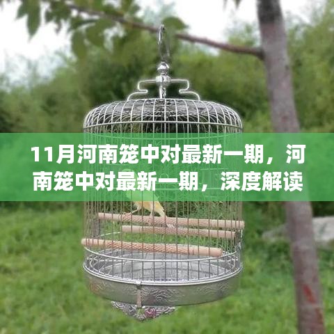 河南笼中对最新一期深度解读与启示