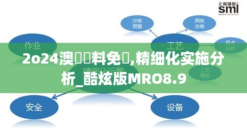 2o24澳門資料免費,精细化实施分析_酷炫版MRO8.9