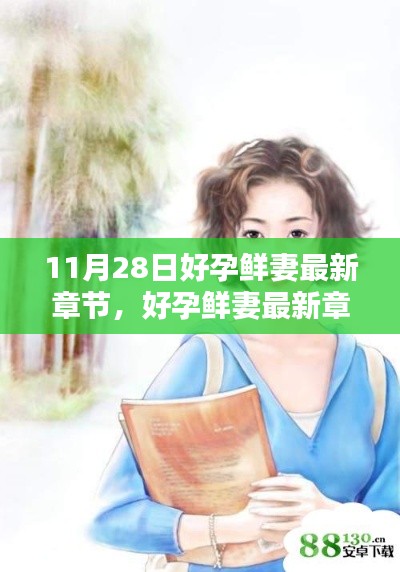 11月28日好孕鲜妻最新章节深度解析与全方位对比评测介绍