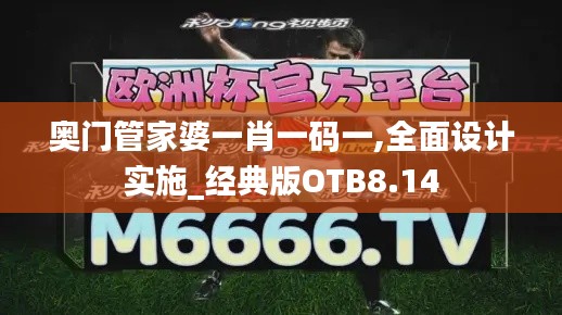 奥门管家婆一肖一码一,全面设计实施_经典版OTB8.14
