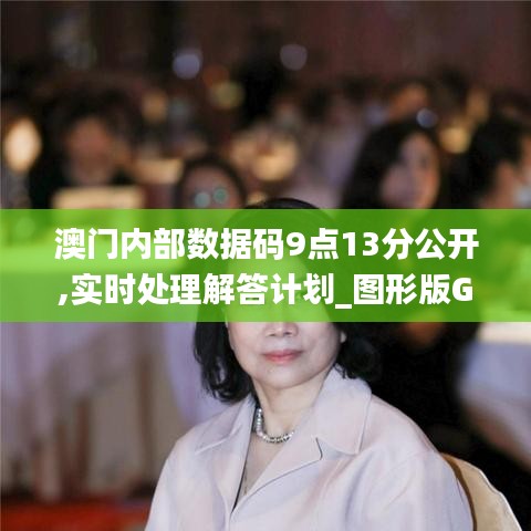 澳门内部数据码9点13分公开,实时处理解答计划_图形版GGC4.69