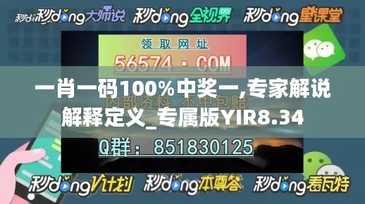 一肖一码100%中奖一,专家解说解释定义_专属版YIR8.34