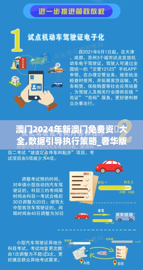 澳门2024年新澳门免费资枓大全,数据引导执行策略_奢华版SZM4.32