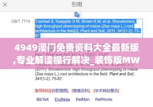 4949澳门免费资料大全最新版,专业解读操行解决_装饰版MWY8.92