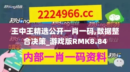 王中王精选公开一肖一码,数据整合决策_游戏版RMK8.84