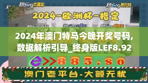 2024年澳门特马今晚开奖号码,数据解析引导_终身版LEF8.92