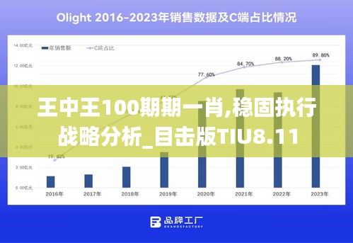 王中王100期期一肖,稳固执行战略分析_目击版TIU8.11