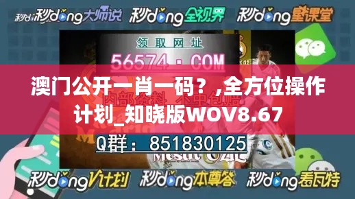 澳门公开一肖一码？,全方位操作计划_知晓版WOV8.67