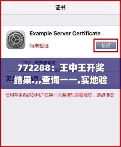 772288：王中王开奖结果.,,查询一一,实地验证研究方案_户外版DTC4.34