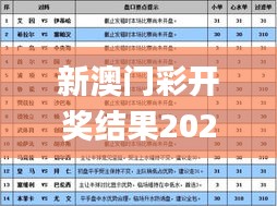 新澳门彩开奖结果2024开奖记录,定性解析明确评估_车载版CHN4.89