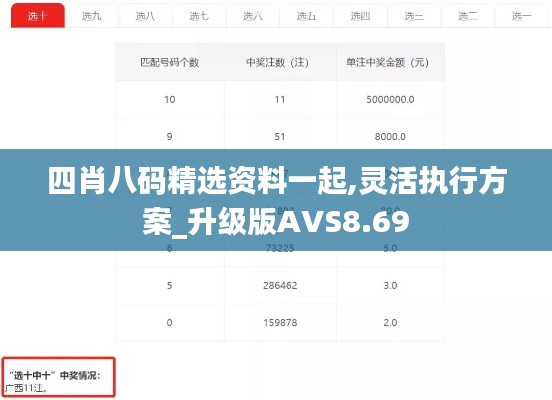 四肖八码精选资料一起,灵活执行方案_升级版AVS8.69
