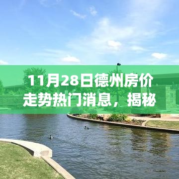德州房价走势揭秘，小巷深处的魅力与房价背后的故事（11月28日热门消息）