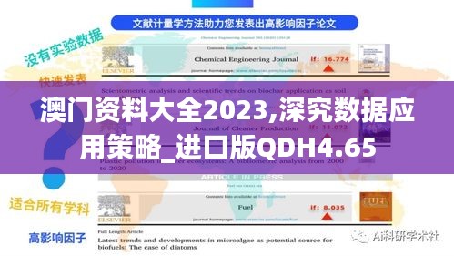 澳门资料大全2023,深究数据应用策略_进口版QDH4.65