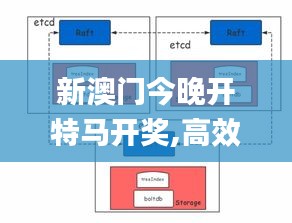 新澳门今晚开特马开奖,高效性设计规划_按需版ASS8.2
