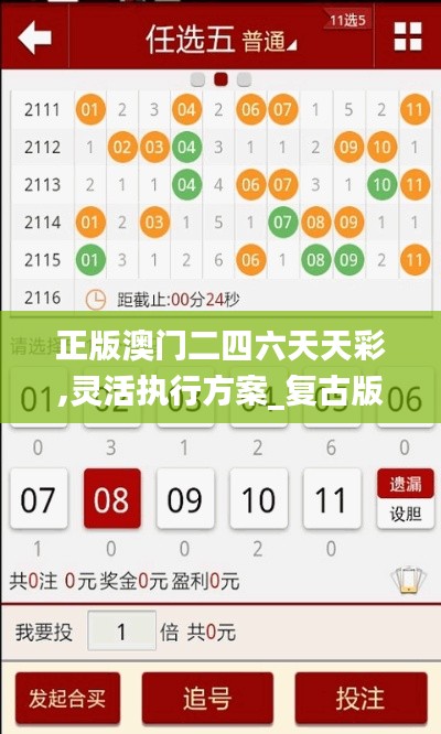 正版澳门二四六天天彩,灵活执行方案_复古版EWK8.73