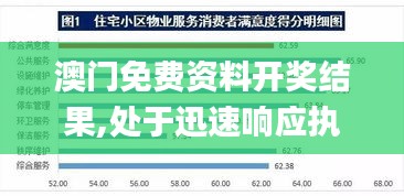 澳门免费资料开奖结果,处于迅速响应执行_PhabletYIA4.30