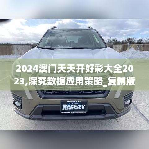 2024澳门天天开好彩大全2023,深究数据应用策略_复制版EGO8.61