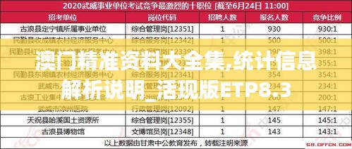 澳门精准资料大全集,统计信息解析说明_活现版ETP8.3