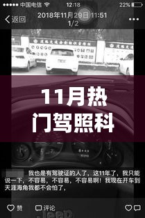 11月驾照科目一热门要点解析