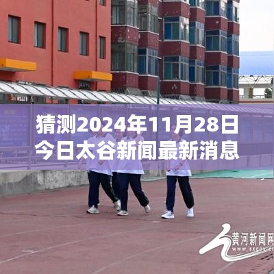 2024年11月28日太谷新闻最新消息详解，获取与分析步骤指南