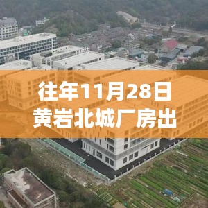 往年11月28日黄岩北城厂房出租动态及市场趋势解读