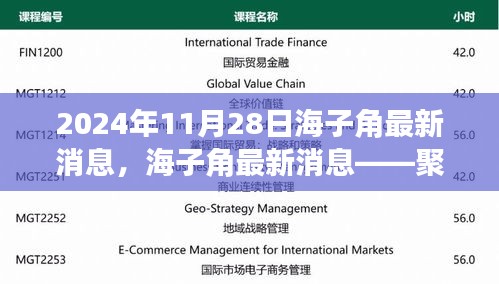 海子角发展动态更新，聚焦最新消息与未来展望（2024年11月28日）