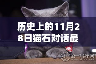 揭秘历史上的猫石对话，揭秘最新一周运的深远影响与地位（针对11月28日）