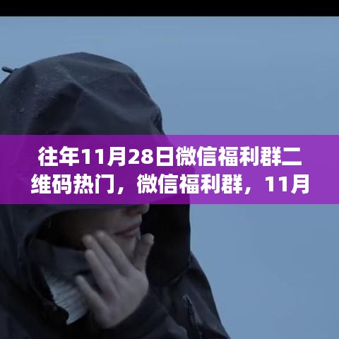 微信福利群二维码奇遇与暖心陪伴，揭秘往年11月28日的秘密活动日
