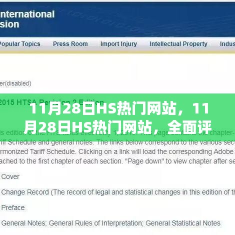 11月28日HS热门网站全面评测与介绍