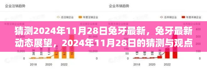 2024年11月28日兔牙最新动态展望与观点分析