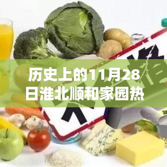 淮北顺和家园历史上的重要时刻与深远影响——纪念十一月二十八日动态回顾