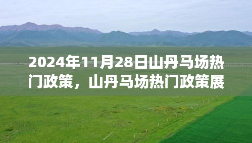 山丹马场未来一年政策动向展望（2024年11月版）