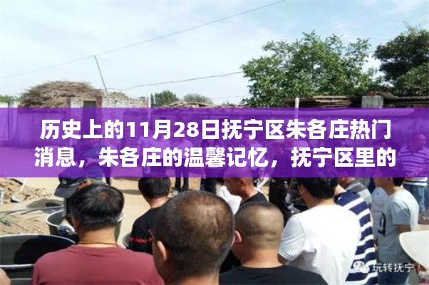 历史上的今天，抚宁区朱各庄的温馨记忆与热门消息回顾
