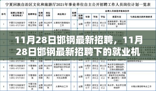 11月28日邯钢最新招聘，就业机遇与挑战一览
