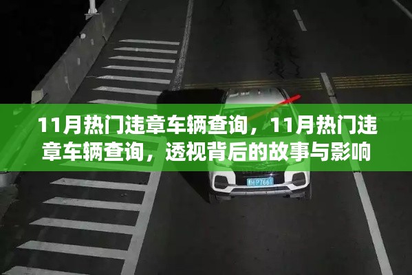 透视故事与影响，揭秘11月热门违章车辆查询背后的真相
